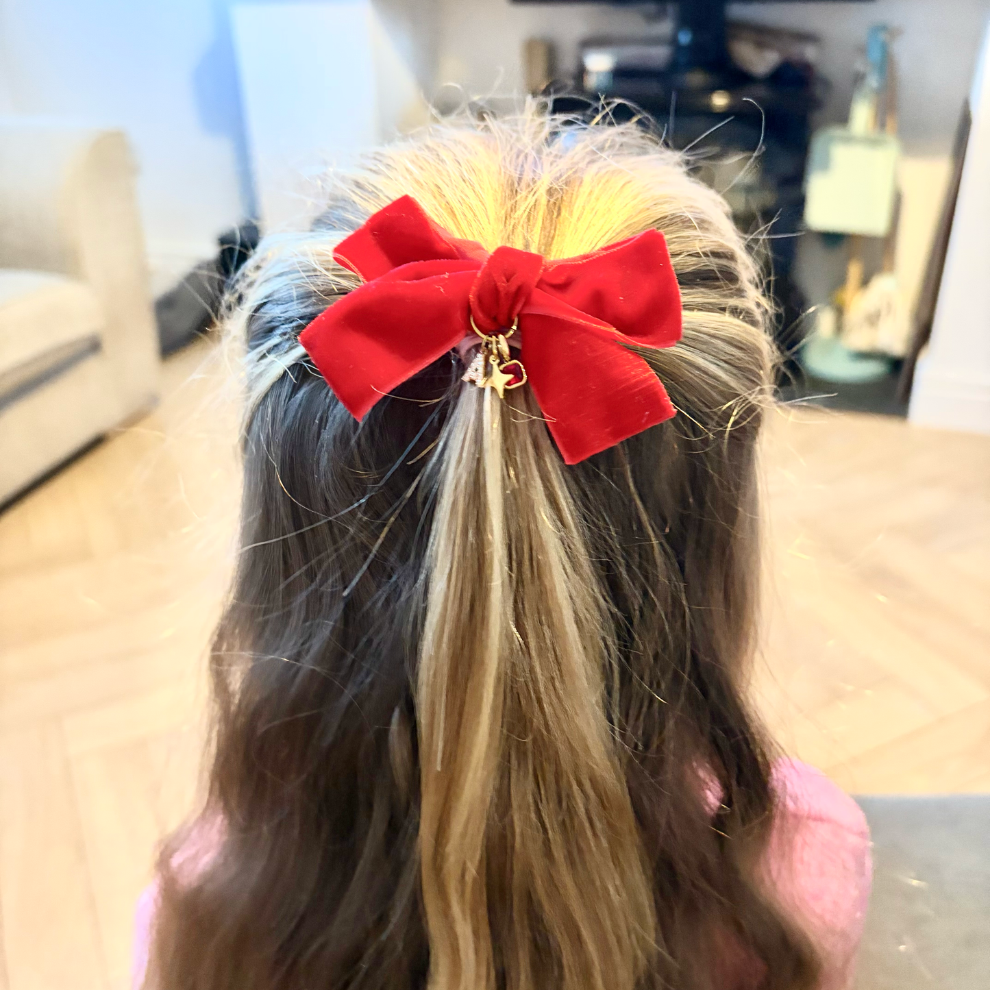 Charmed Velvet Bow Hair Clip